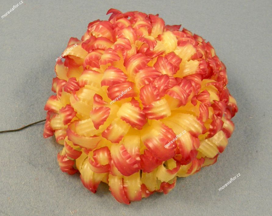 Chrysantena 1 126 8 003 00-43