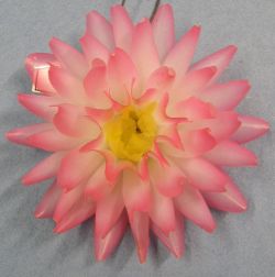 Jiřina 126 7 001 80 - 712